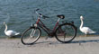 Img7851